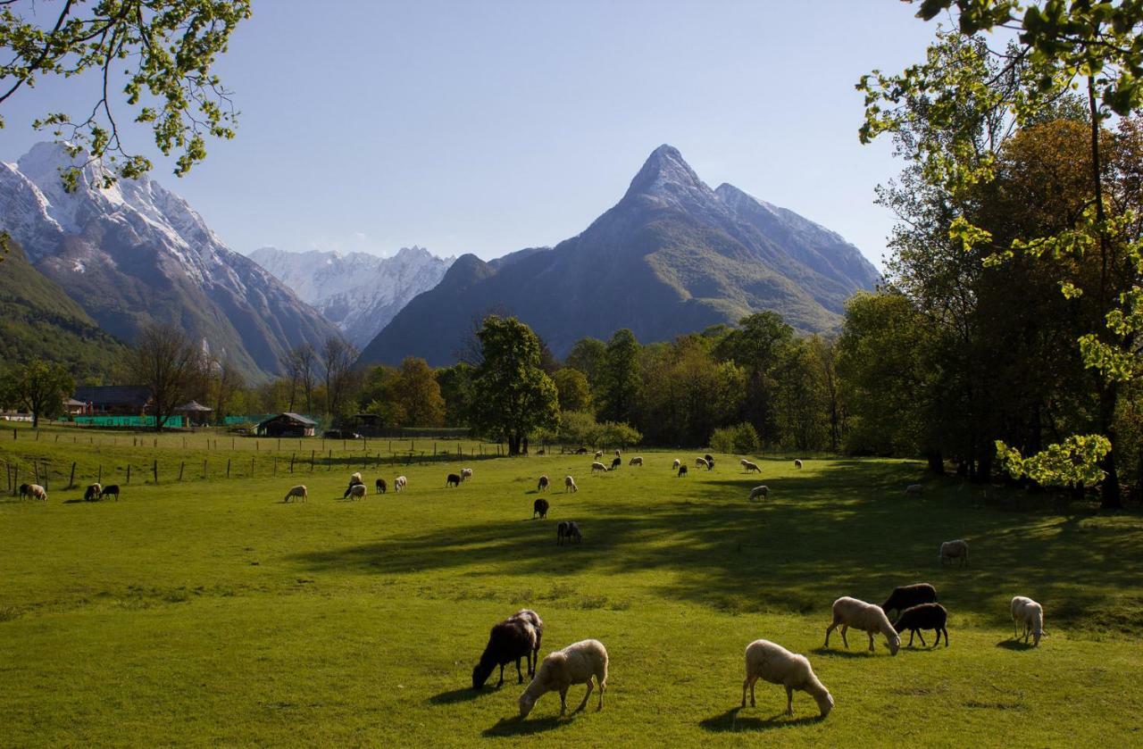 Montis Apartment Bovec