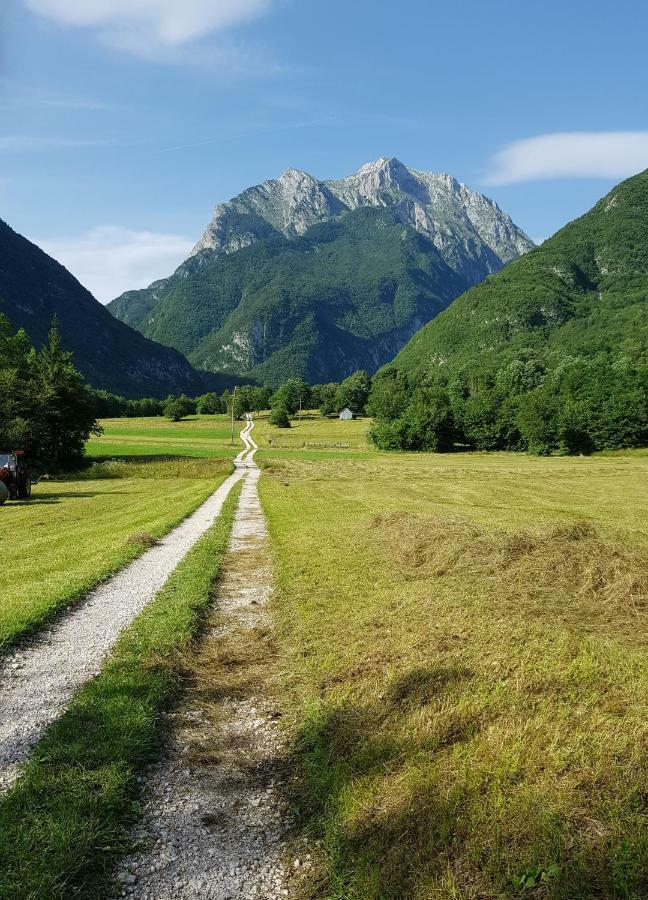 Montis Bovec