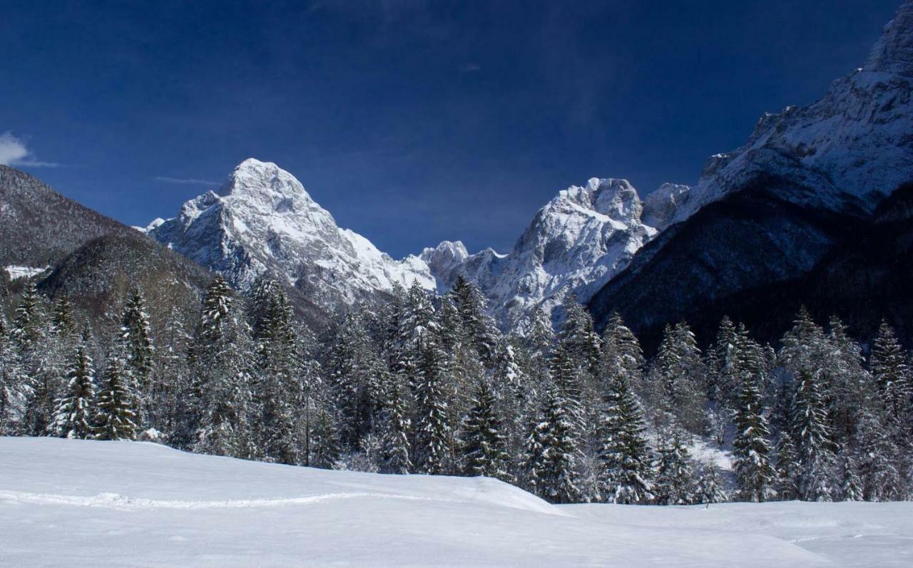Montis Bovec